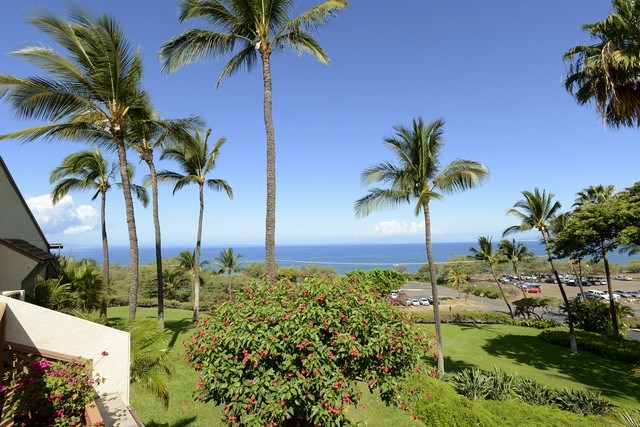 2777 South Kihei Road, Unit A207 Kihei, HI 96753 - Photo 18 of 30 a view of a palm tree with a yard