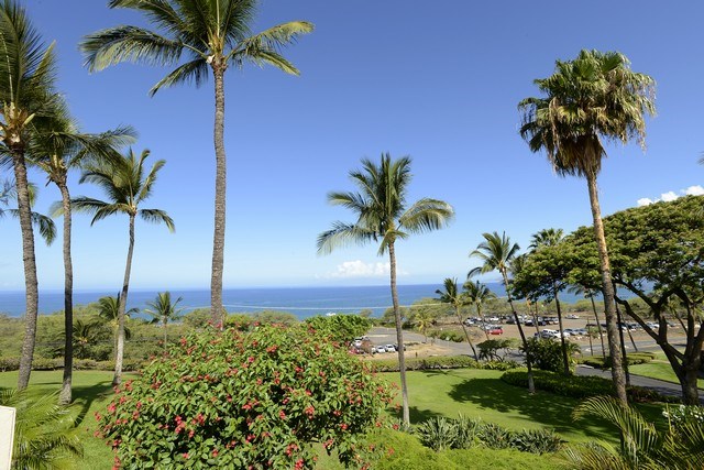 2777 South Kihei Road, Unit A207 Kihei, HI 96753 - Photo 19 of 30 a palm tree sitting in a yard with palm trees