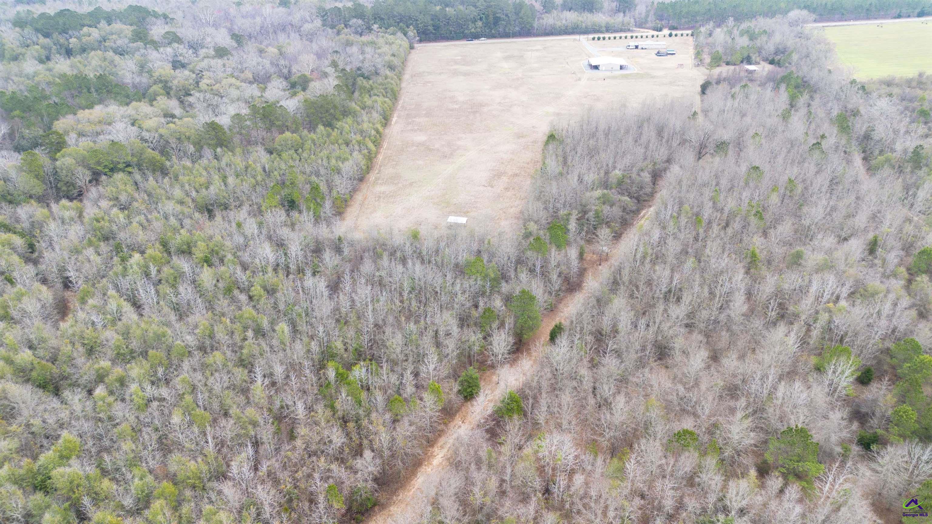 500 Old Milledgeville Road Cochran, GA 31014 - Photo 6 of 48 a view of a dry yard with trees