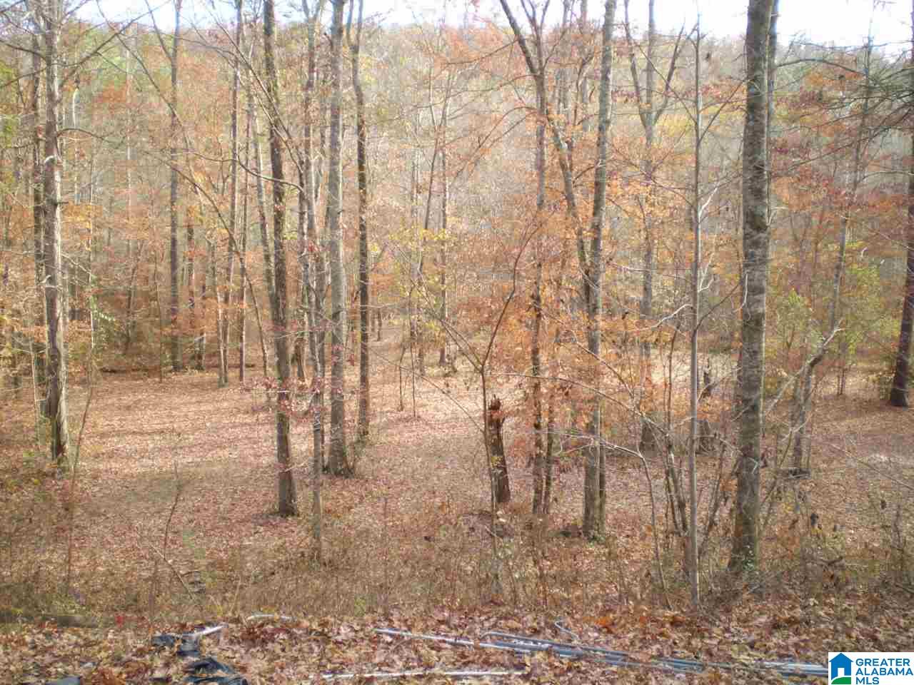 172 Waldrop Road, Unit 9 Ashville, AL 35953 - Photo 27 of 36