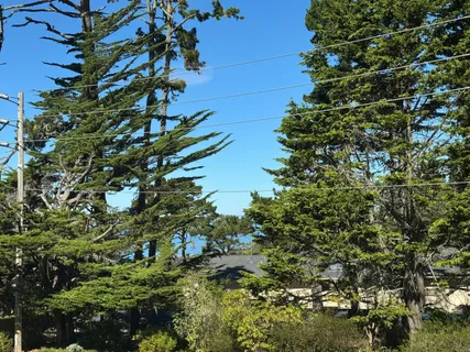 $1,195,000 | 59 Skyline Crest Drive, Monterey, CA 93940