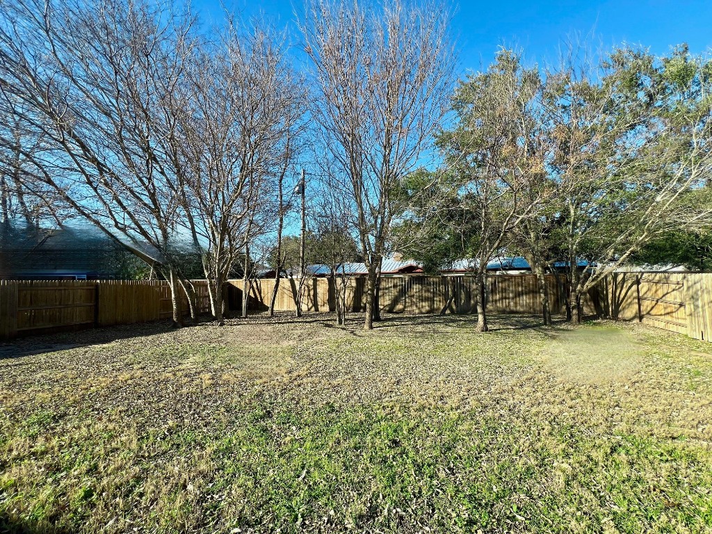 114 Clear Water Pass Bastrop, TX 78602 - Photo 29 of 37 BIG privacy fenced backyard