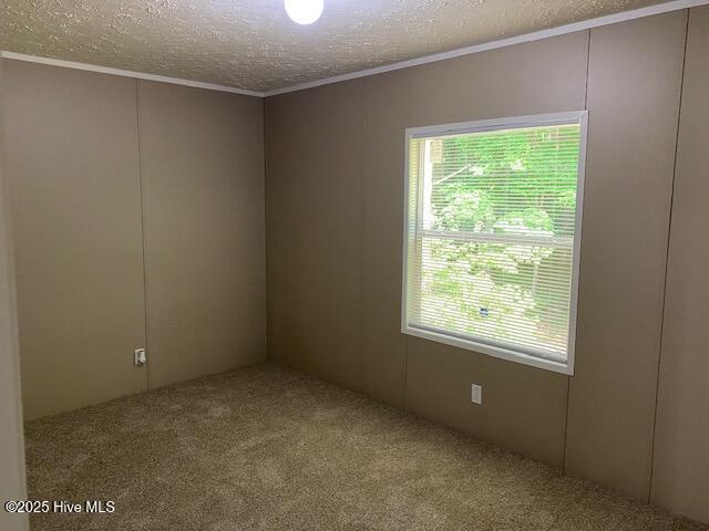 15049 Murray Loop Road Whitakers, NC 27891 - Photo 17 of 26 Bedroom 2 view 1