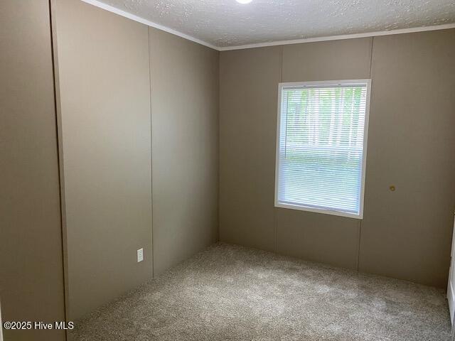15049 Murray Loop Road Whitakers, NC 27891 - Photo 19 of 26 Bedroom 3 view 1