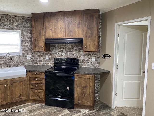 15049 Murray Loop Road Whitakers, NC 27891 - Photo 4 of 26 Kitchen view 3 with Pantry