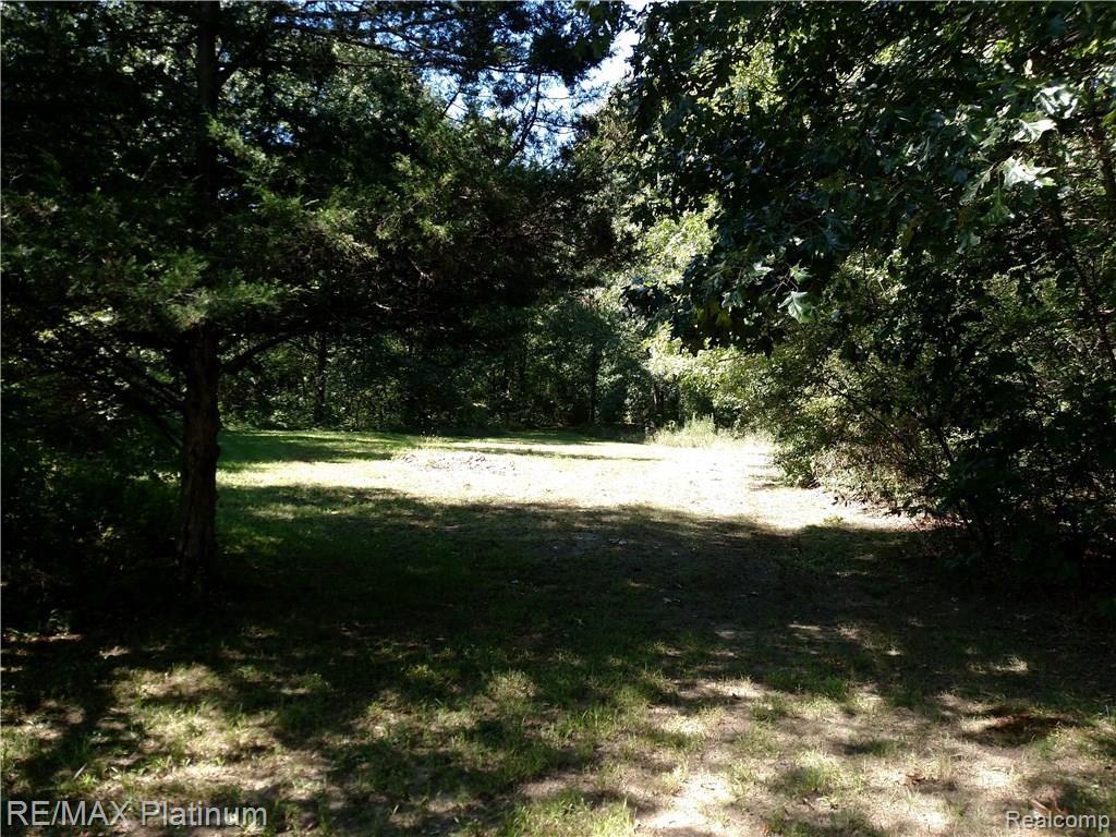 8321 North Latson Road Howell, MI 48855 - Photo 3 of 6