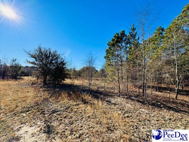 Aaron Temple Church Road Bennettsville, SC 29512 - Photo 3 of 5 Gallery Image 3