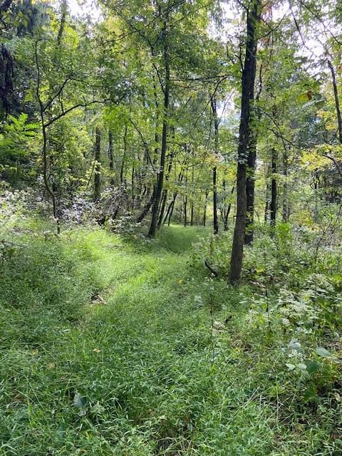 101 Metz Road Tarentum, PA 15084 - Photo 6 of 14 Gallery Image 6