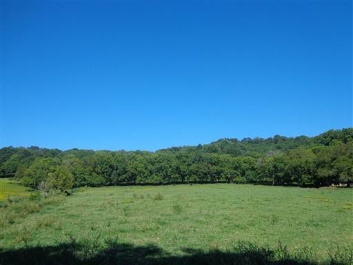 4500 Harpeth School Road Franklin, TN 37064 - Photo 6 of 8 a view of an outdoor space and a yard