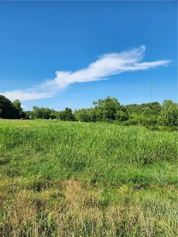 $155,000 | 0 210 Highway, Excelsior Springs, MO 64024