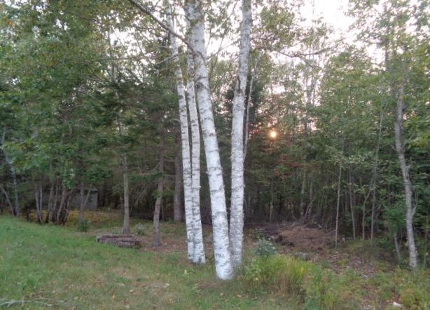 574 Station Road Columbia, ME 04623 - Photo 25 of 27 DSC04025