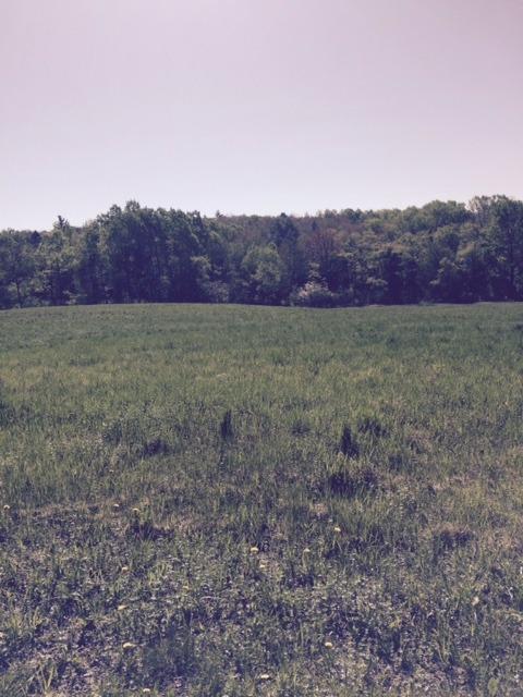 0 Allen Road Jefferson, NY 12093 - Photo 1 of 1