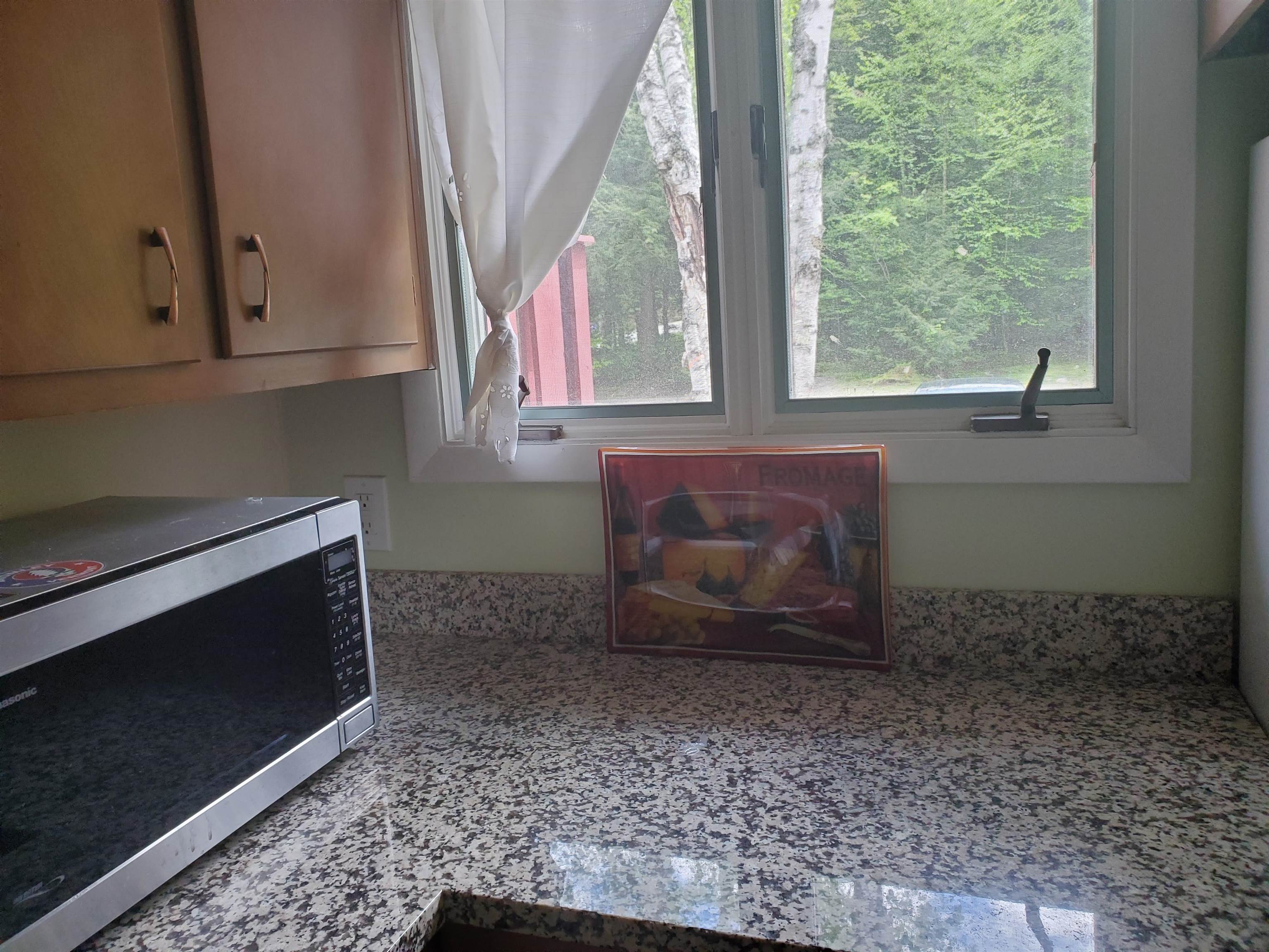 2 E Waldwinkle Road, Unit 2E West Dover, VT 05356 - Photo 6 of 26