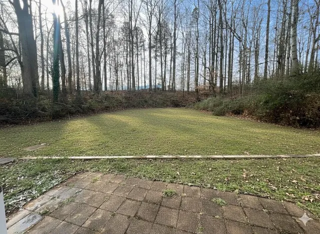 a view of a yard with large trees