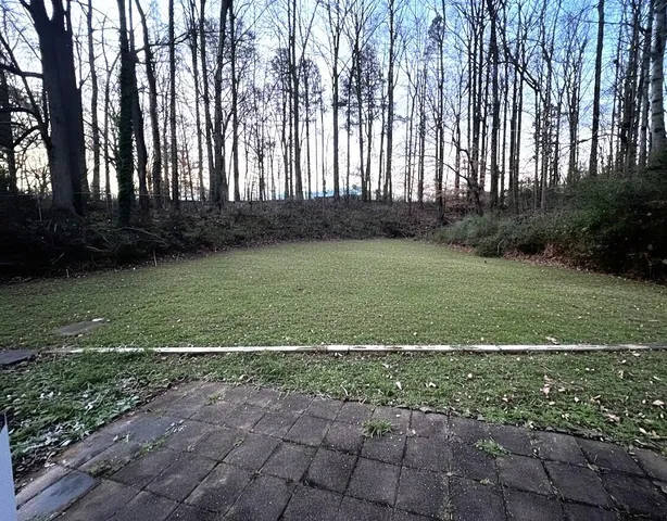 a view of a park with a large trees