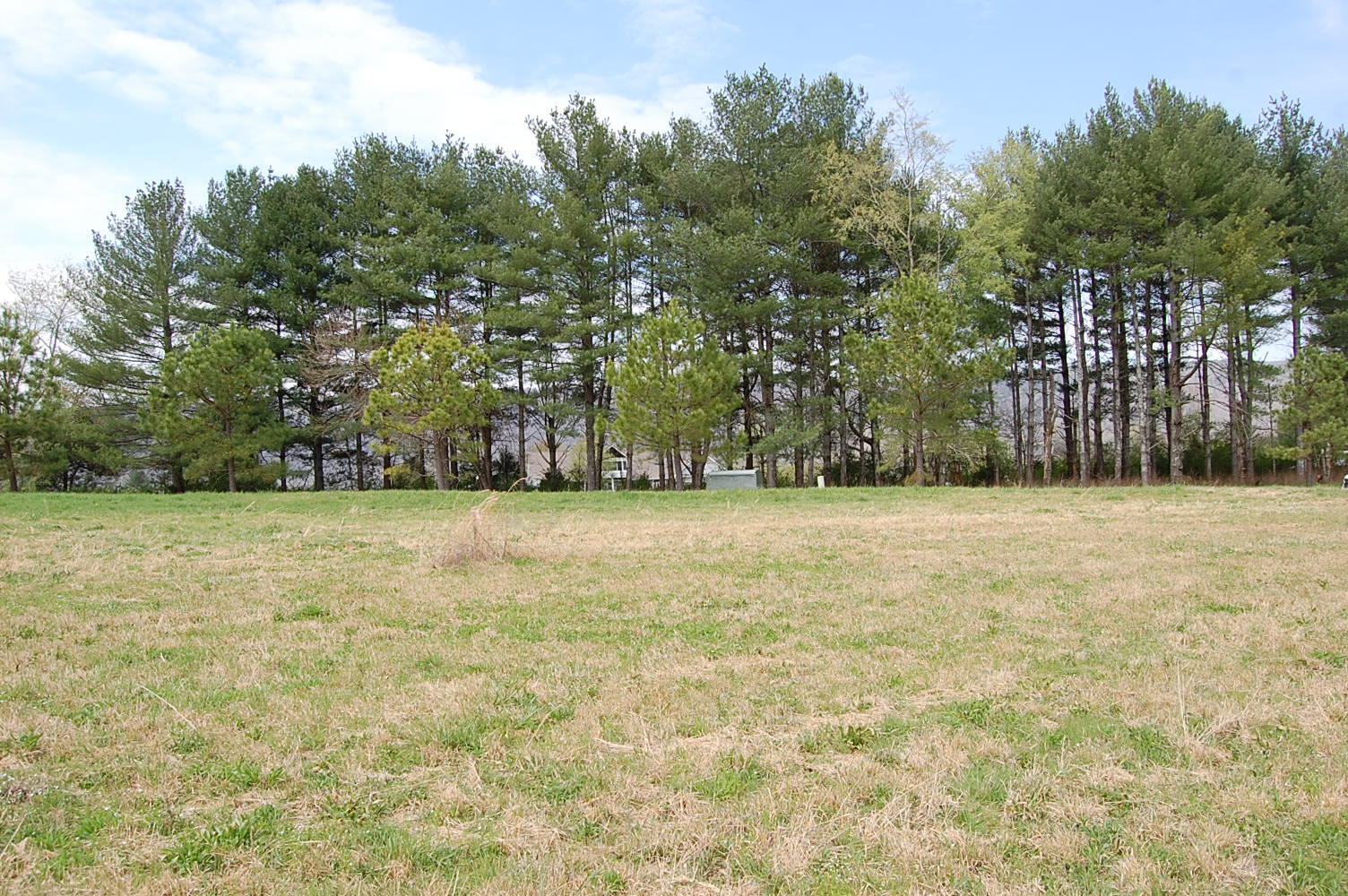 2 Riverbend Lane Dunlap, TN 37327 - Photo 13 of 38 DSC_0013