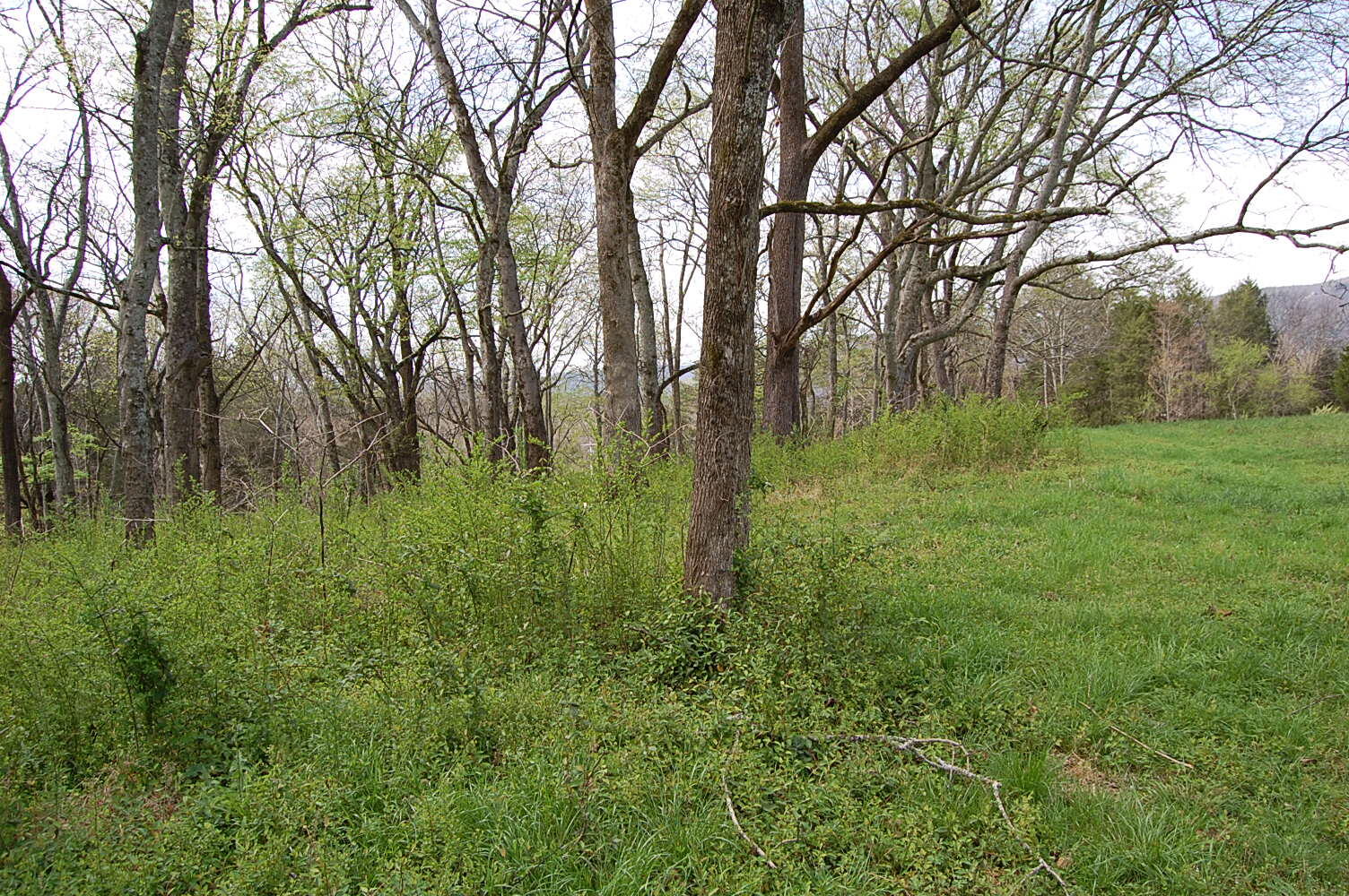 2 Riverbend Lane Dunlap, TN 37327 - Photo 17 of 38 DSC_0017