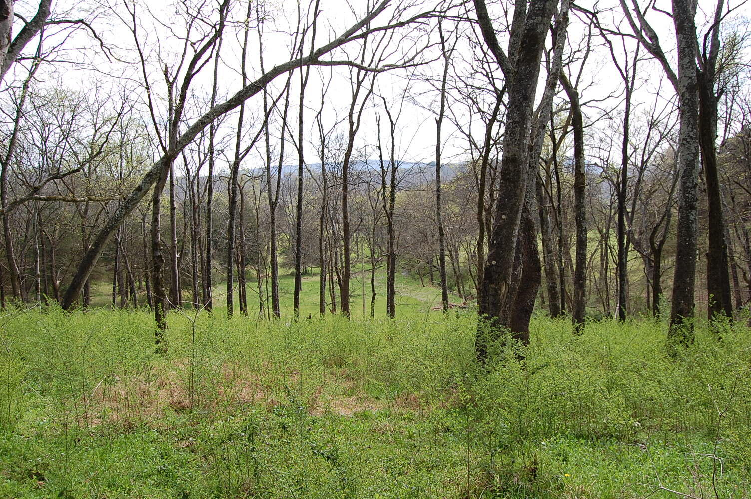 2 Riverbend Lane Dunlap, TN 37327 - Photo 19 of 38 DSC_0019