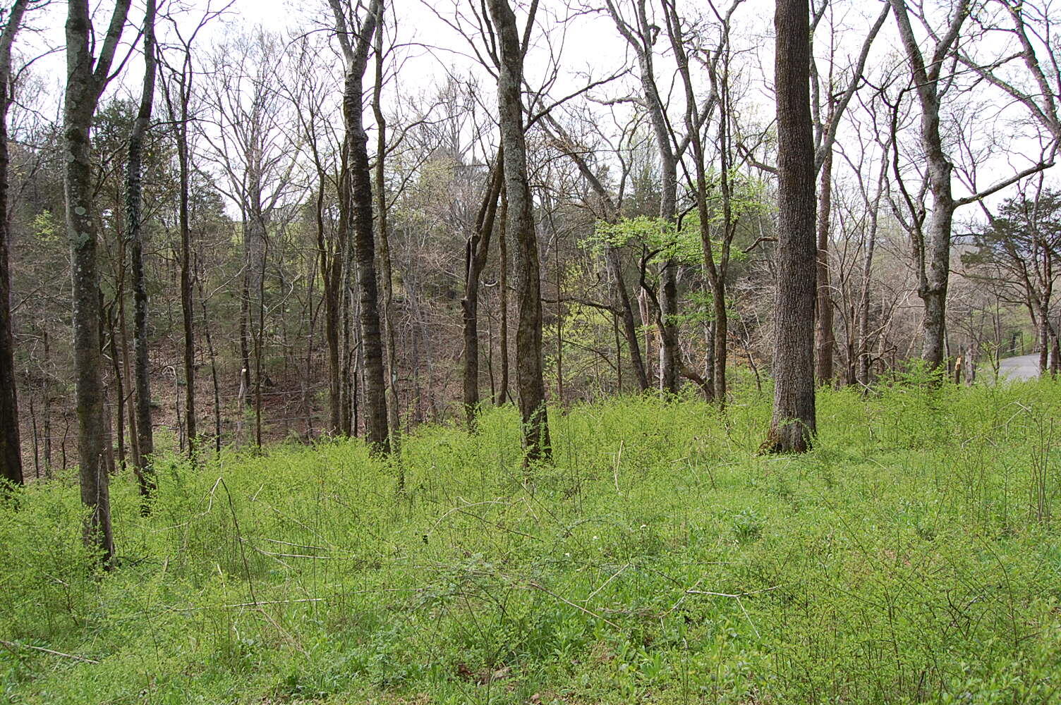 2 Riverbend Lane Dunlap, TN 37327 - Photo 21 of 38 DSC_0021