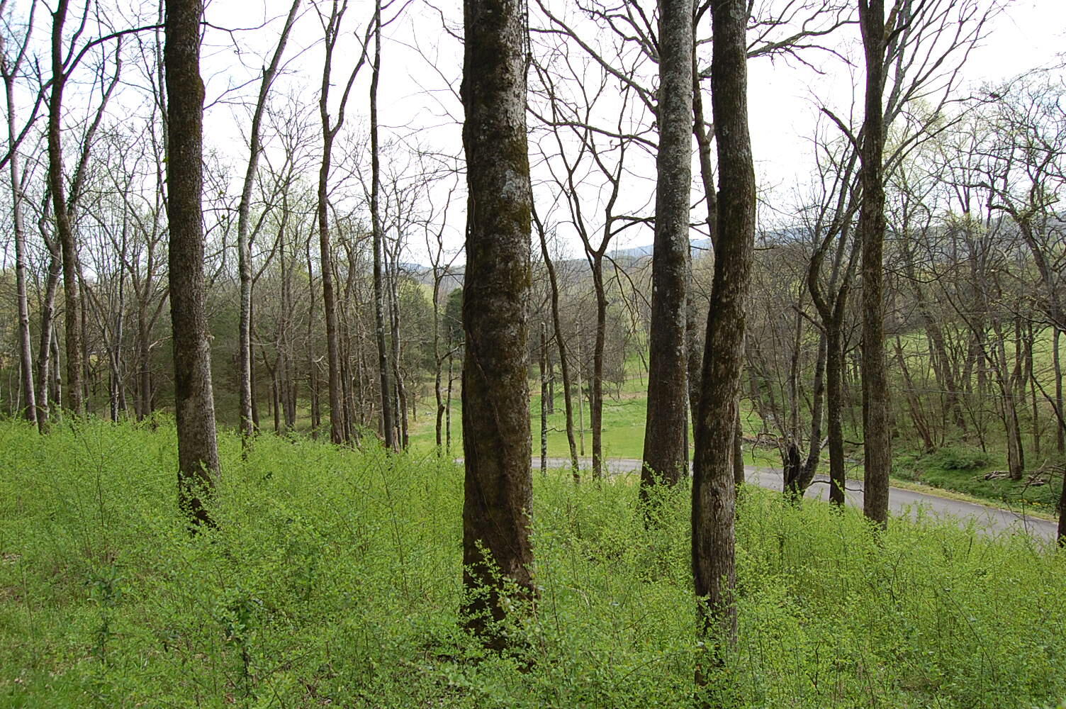 2 Riverbend Lane Dunlap, TN 37327 - Photo 23 of 38 DSC_0023