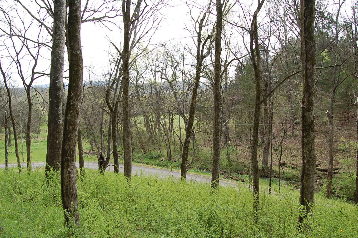 2 Riverbend Lane Dunlap, TN 37327 - Photo 24 of 38 DSC_0024