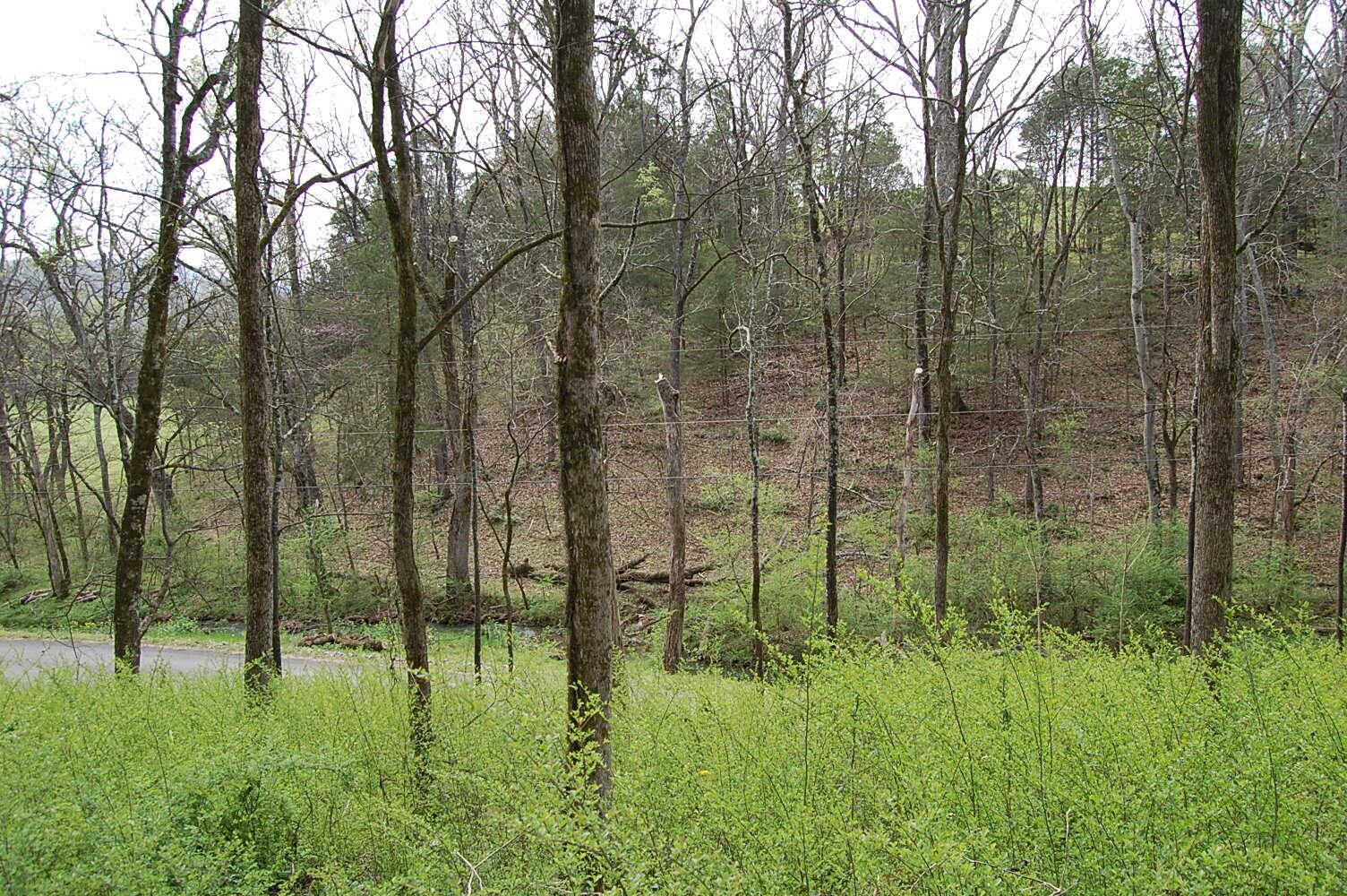 2 Riverbend Lane Dunlap, TN 37327 - Photo 25 of 38 DSC_0025
