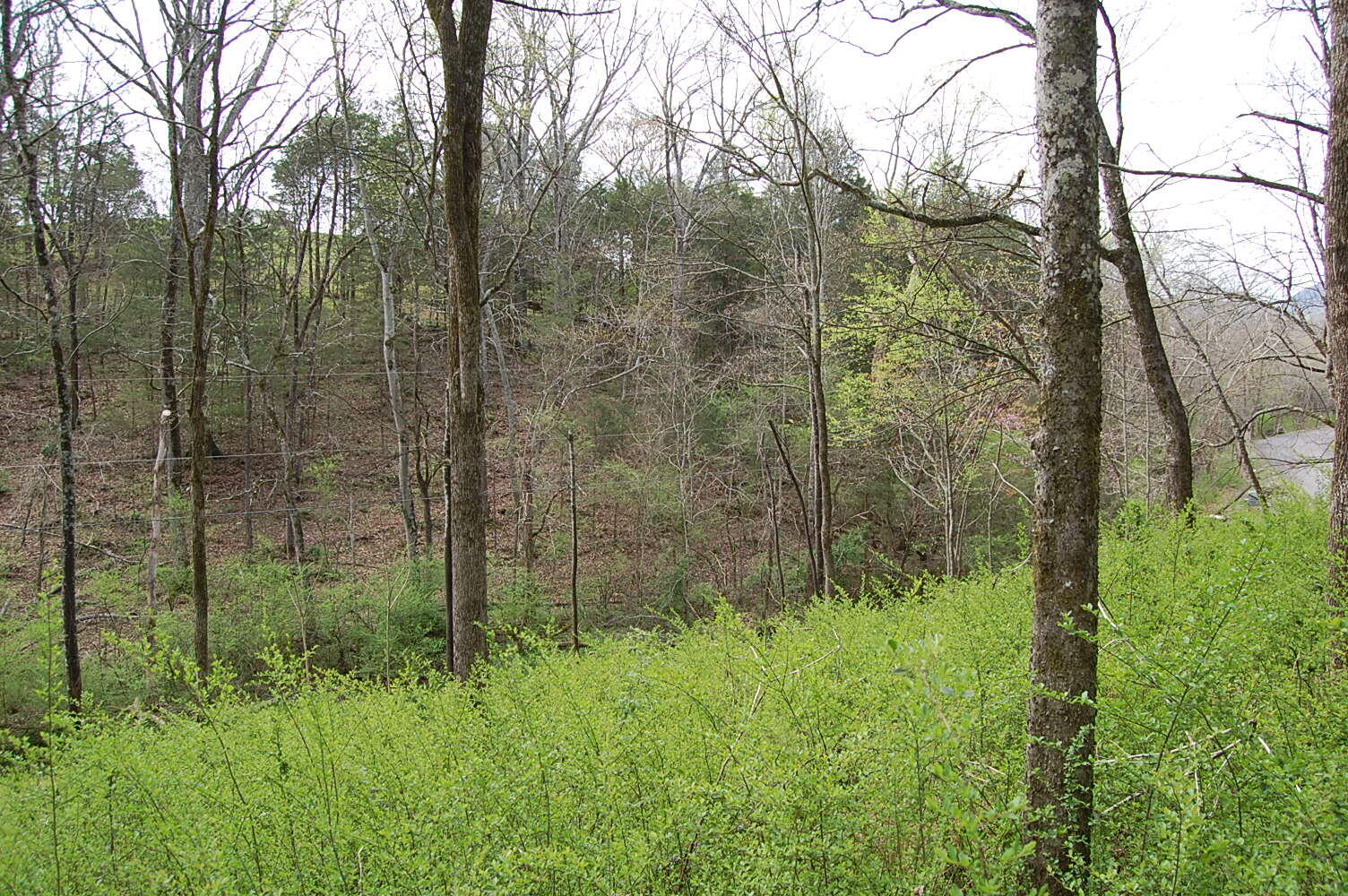 2 Riverbend Lane Dunlap, TN 37327 - Photo 26 of 38 DSC_0026