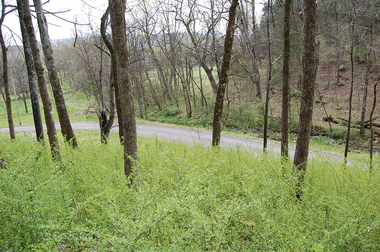 2 Riverbend Lane Dunlap, TN 37327 - Photo 28 of 38 DSC_0028