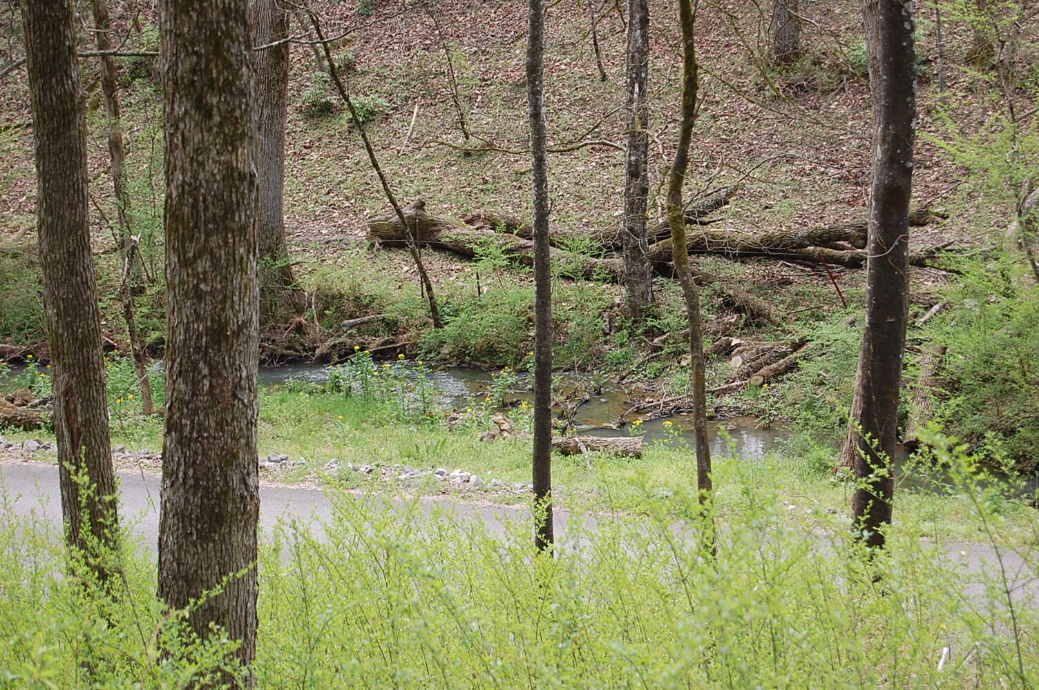 2 Riverbend Lane Dunlap, TN 37327 - Photo 29 of 38 DSC_0029