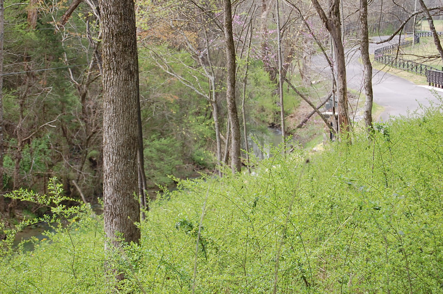 2 Riverbend Lane Dunlap, TN 37327 - Photo 31 of 38 DSC_0031