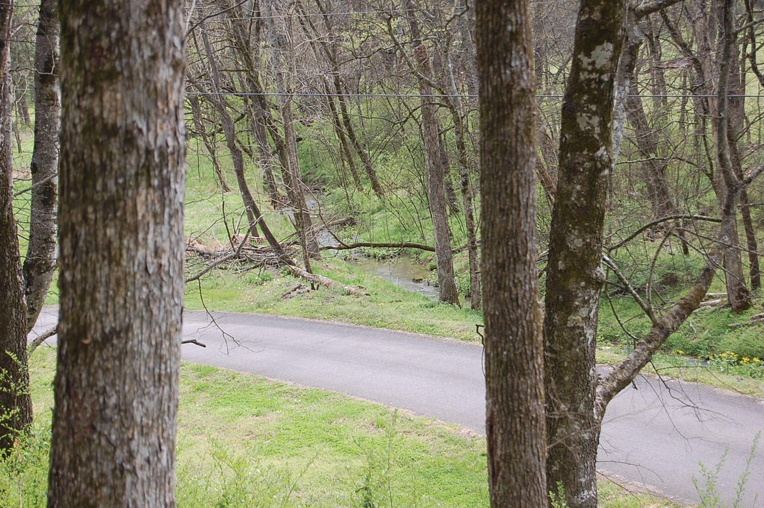 2 Riverbend Lane Dunlap, TN 37327 - Photo 32 of 38 DSC_0032