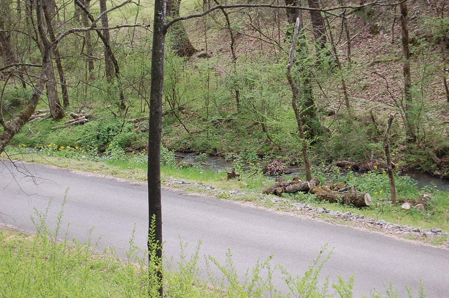 2 Riverbend Lane Dunlap, TN 37327 - Photo 33 of 38 DSC_0033