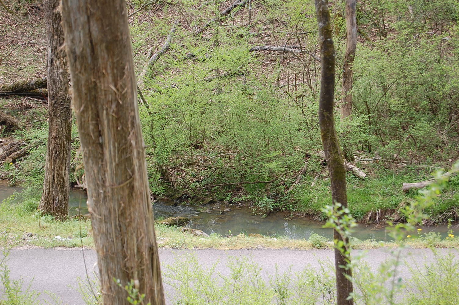 2 Riverbend Lane Dunlap, TN 37327 - Photo 34 of 38 DSC_0034