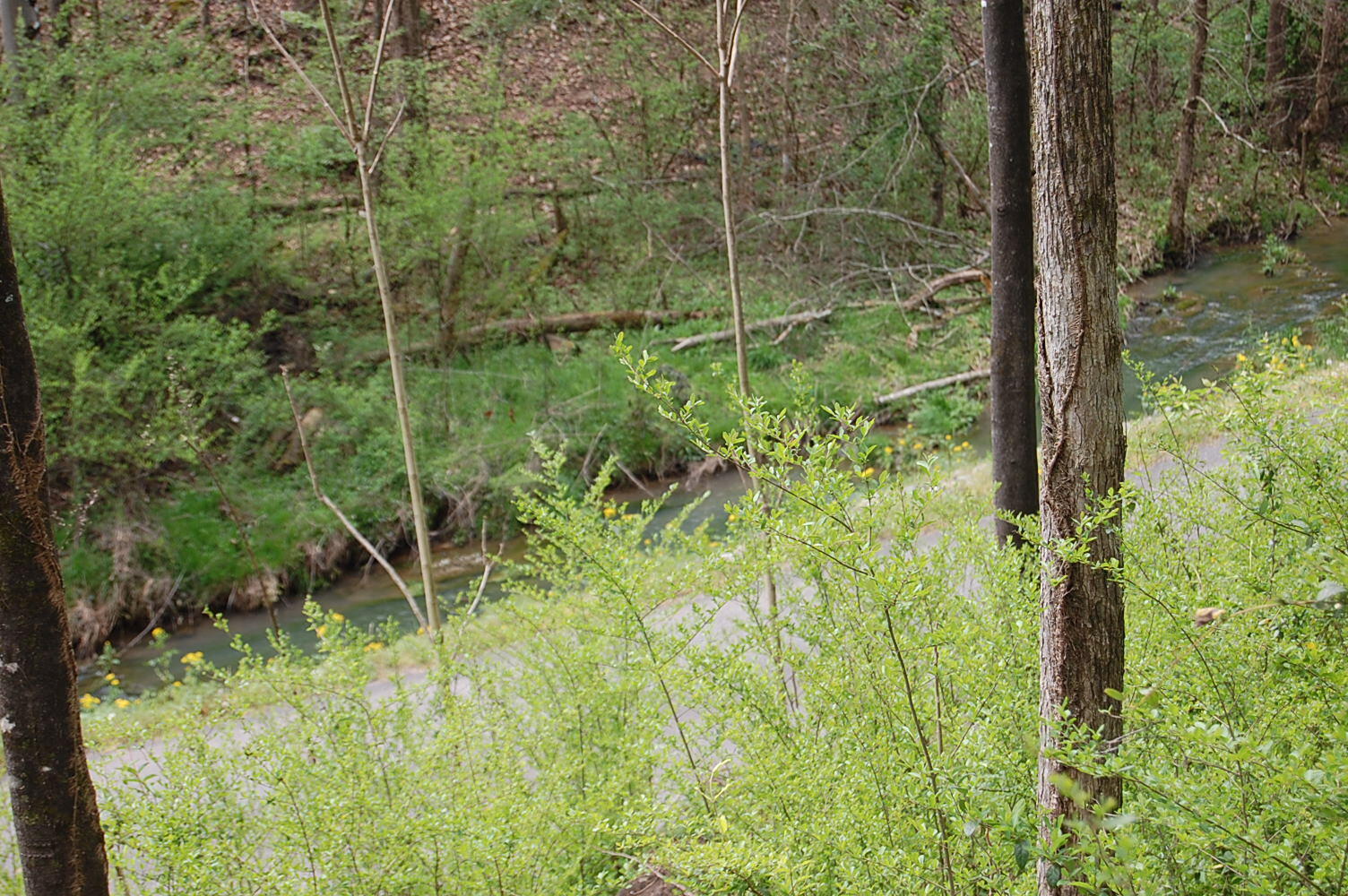 2 Riverbend Lane Dunlap, TN 37327 - Photo 35 of 38 DSC_0035