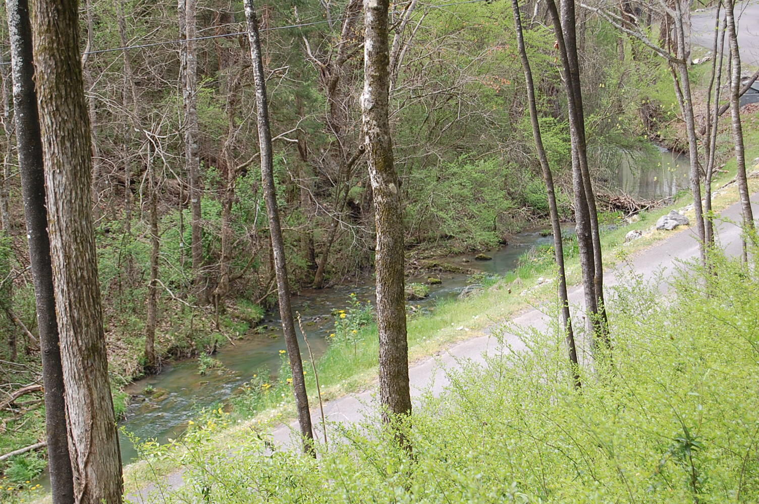 2 Riverbend Lane Dunlap, TN 37327 - Photo 36 of 38 DSC_0036