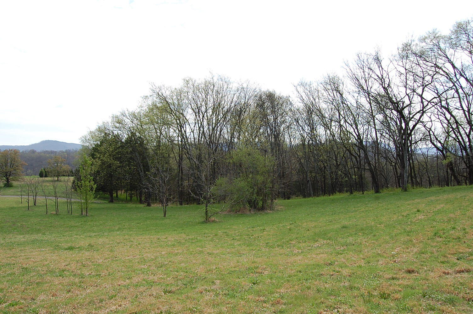 2 Riverbend Lane Dunlap, TN 37327 - Photo 9 of 38 DSC_0009