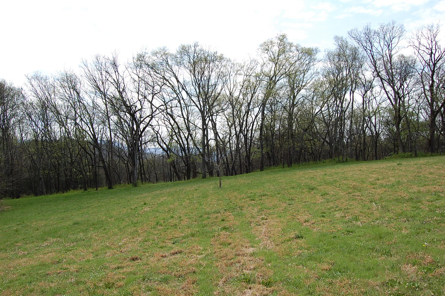 2 Riverbend Lane Dunlap, TN 37327 - Photo 10 of 38 DSC_0010
