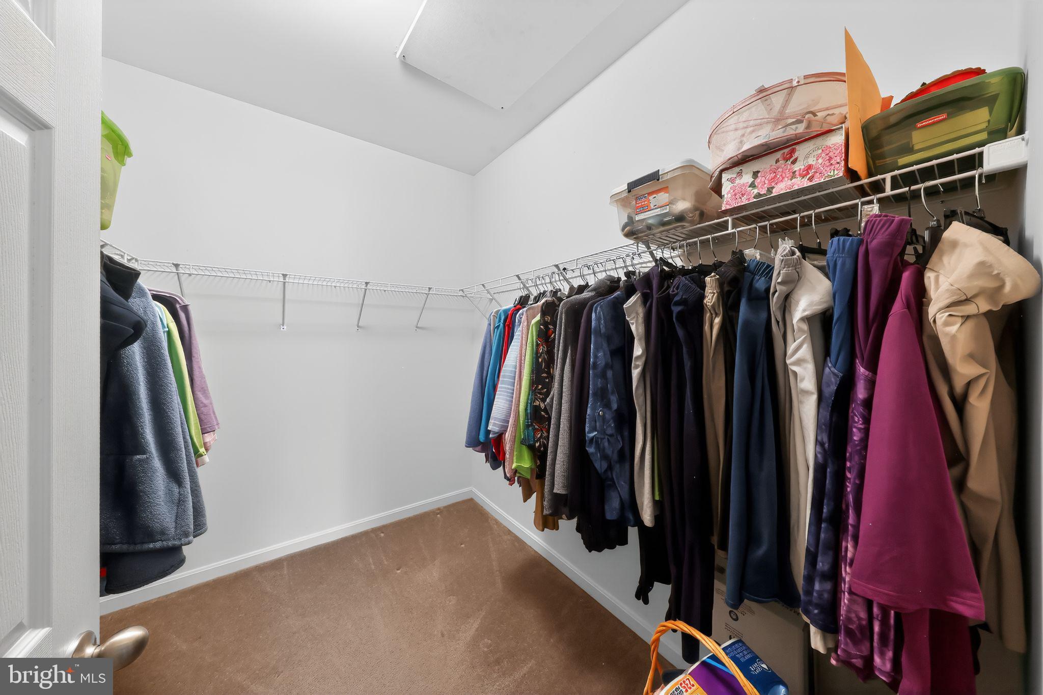 39 Thistle Court Smyrna, DE 19977 - Photo 26 of 32 Primary walk in closet with attic panel