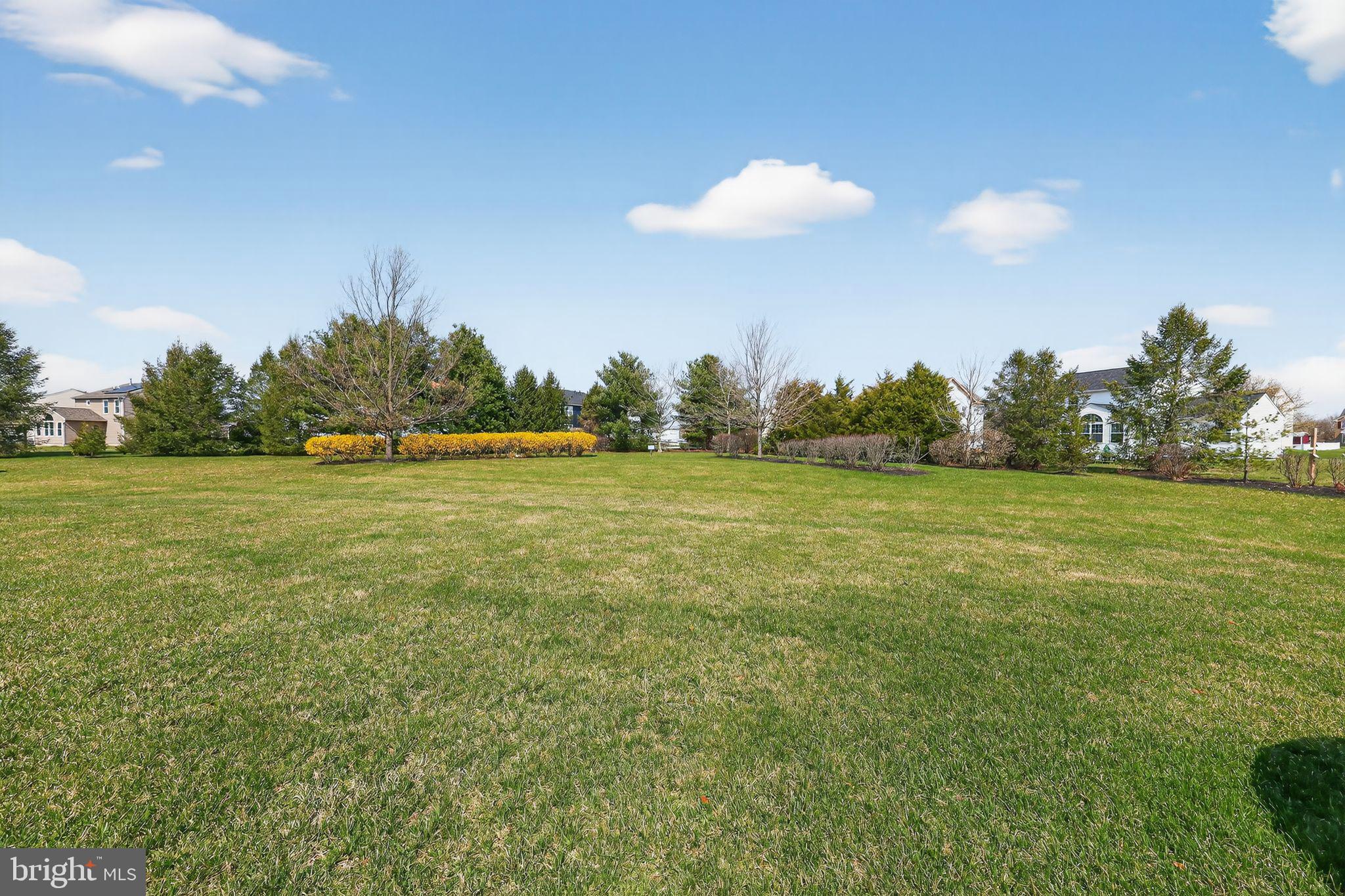 39 Thistle Court Smyrna, DE 19977 - Photo 28 of 32 Back yard view