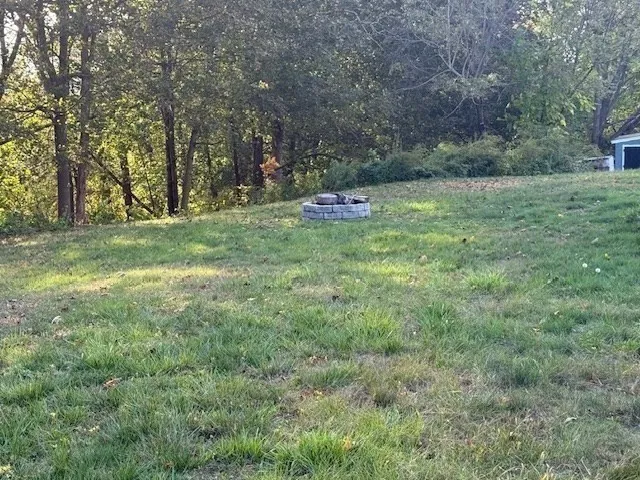 a backyard of a house with lots of green space and deers