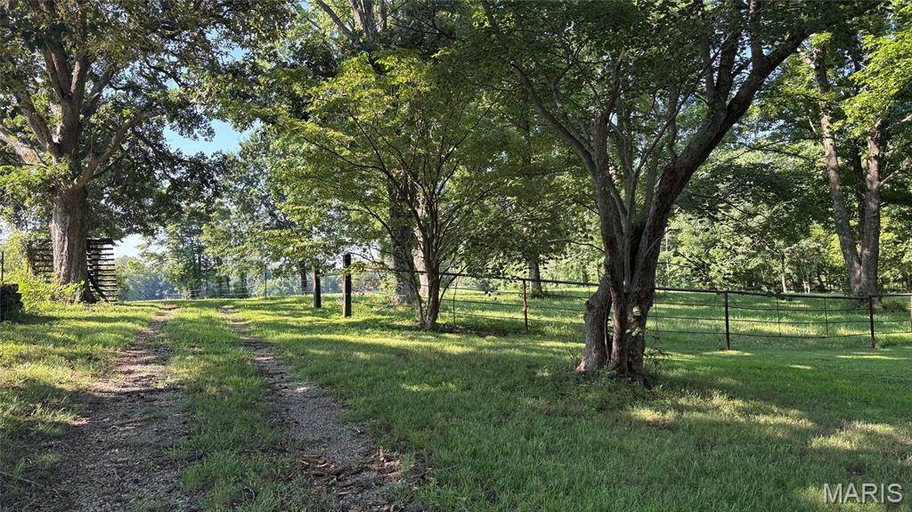 23036 Carlyle Road Thompsonville, IL 62890 - Photo 61 of 99