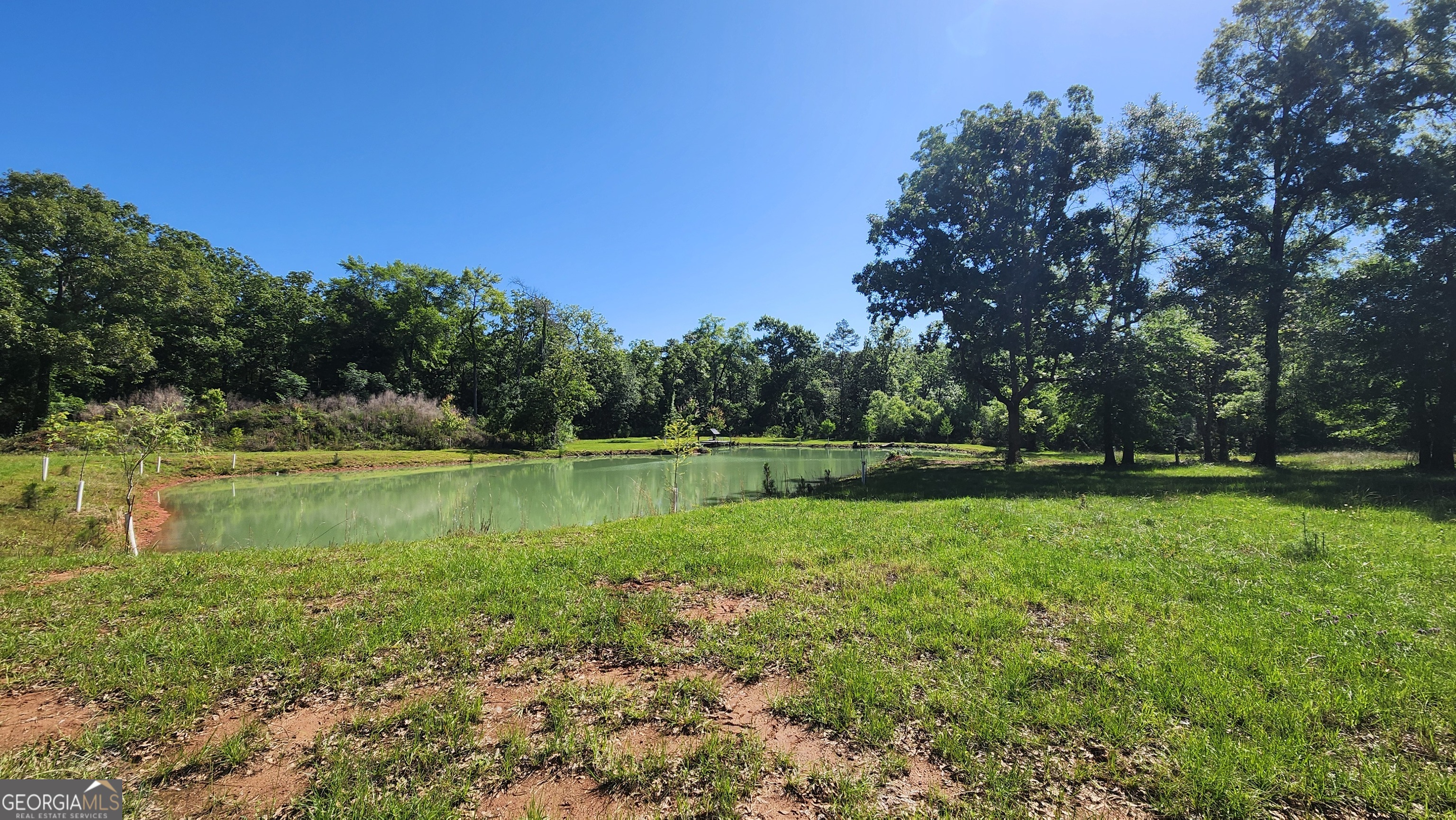 246 Melton Mill Road Dawson, GA 39842 - Photo 6 of 78