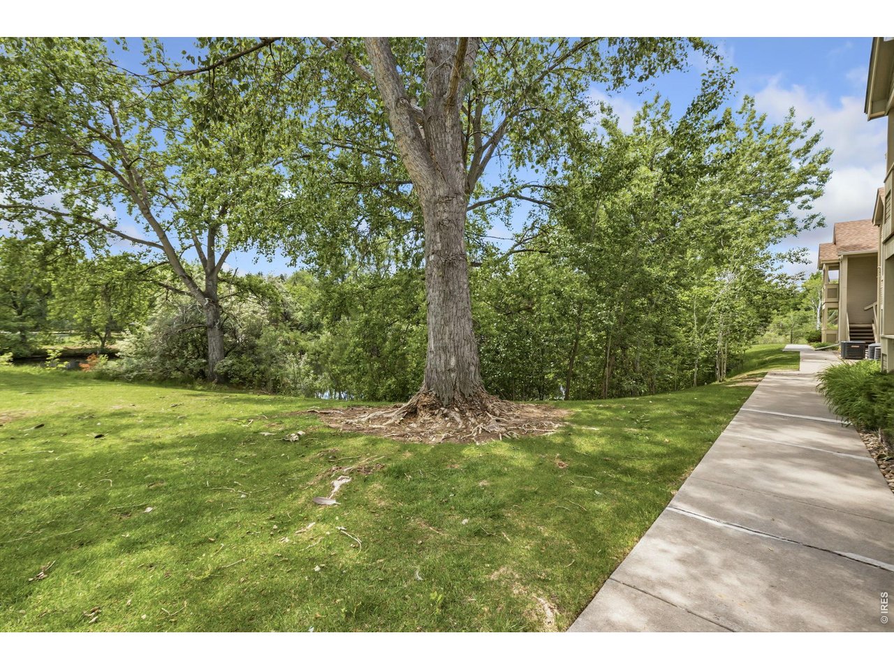 1225 West Prospect Road, Unit W103 Fort Collins, CO 80526 - Photo 41 of 50