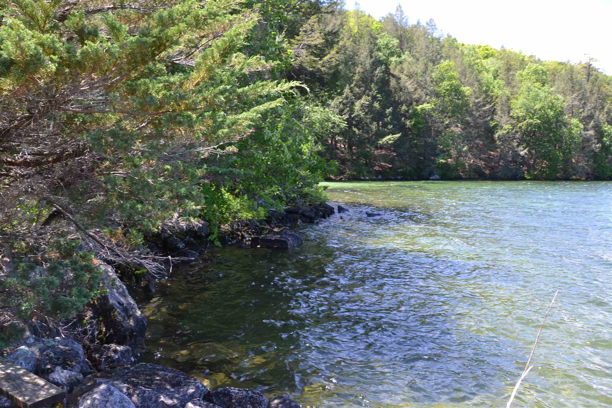 81 Basin Road Alton, NH 03809 - Photo 14 of 29