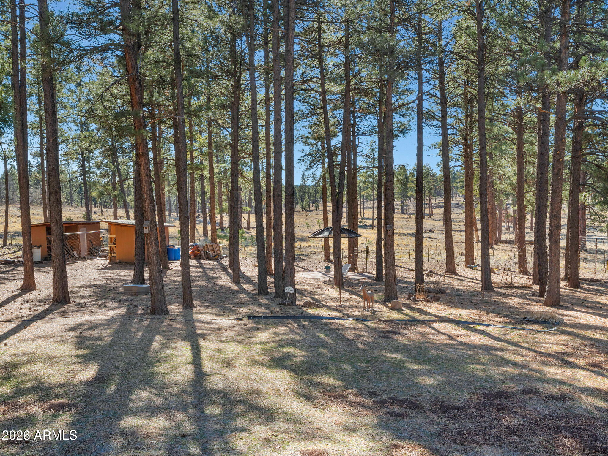 13112 Fallow Deer Road Parks, AZ 86018 - Photo 27 of 35