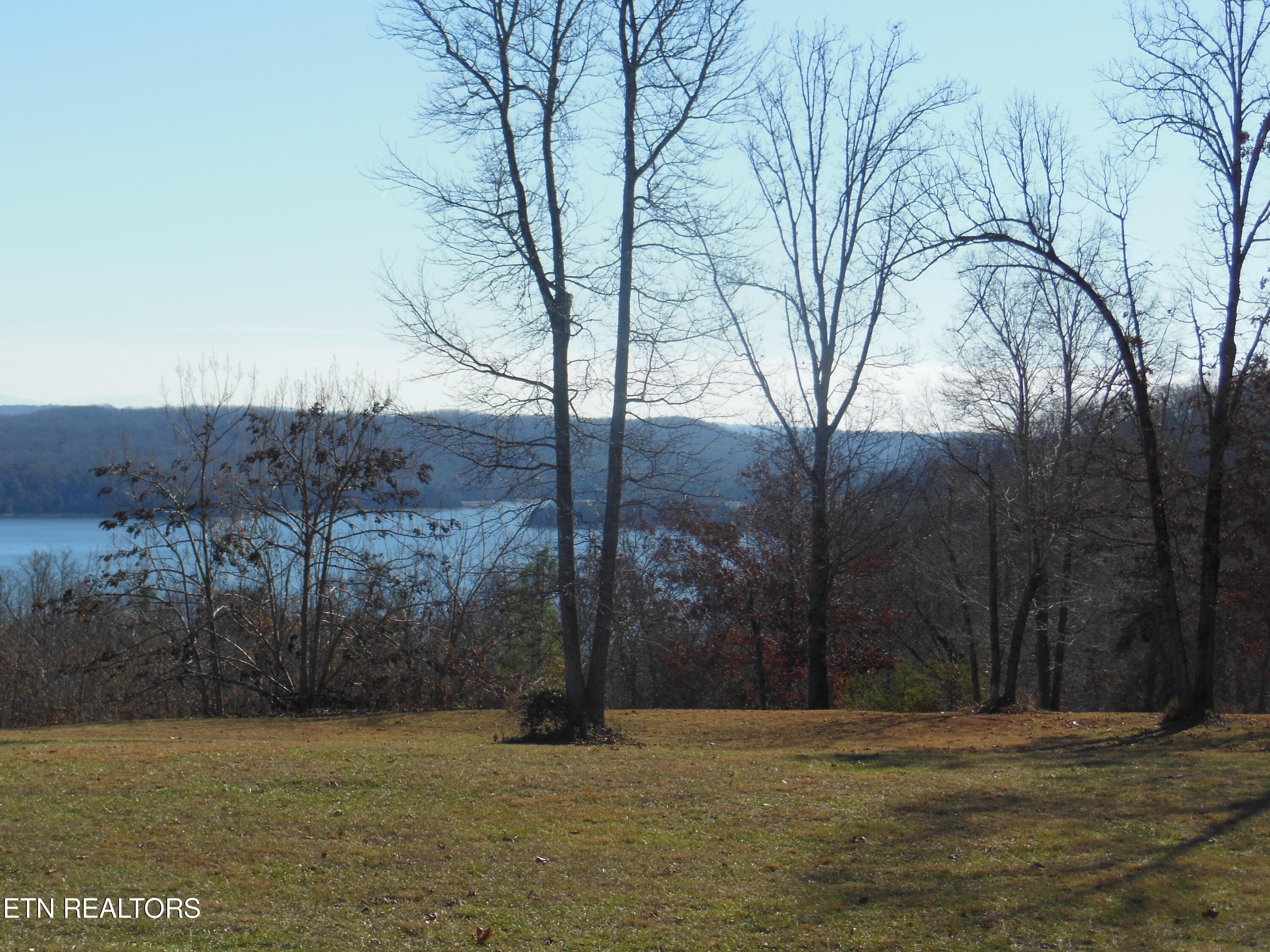 140 Quail Holw Cove Spring City, TN 37381 - Photo 1 of 15 DSCN9861