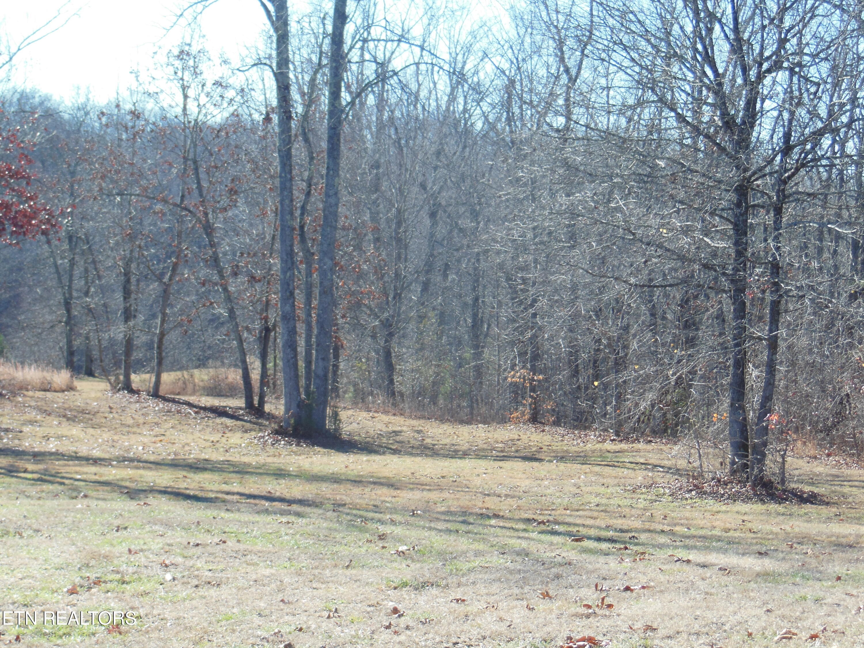 140 Quail Holw Cove Spring City, TN 37381 - Photo 11 of 15 DSCN9855
