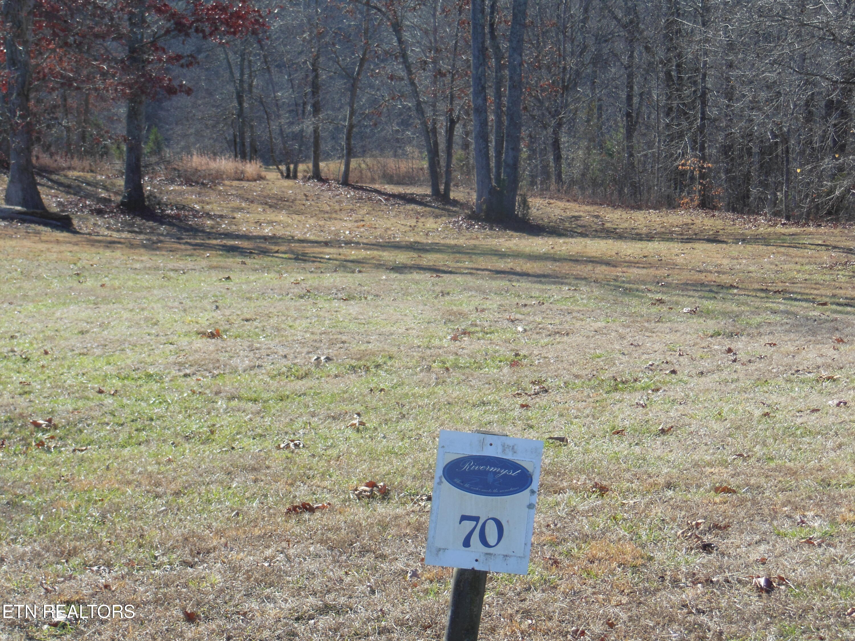 140 Quail Holw Cove Spring City, TN 37381 - Photo 12 of 15 DSCN9856