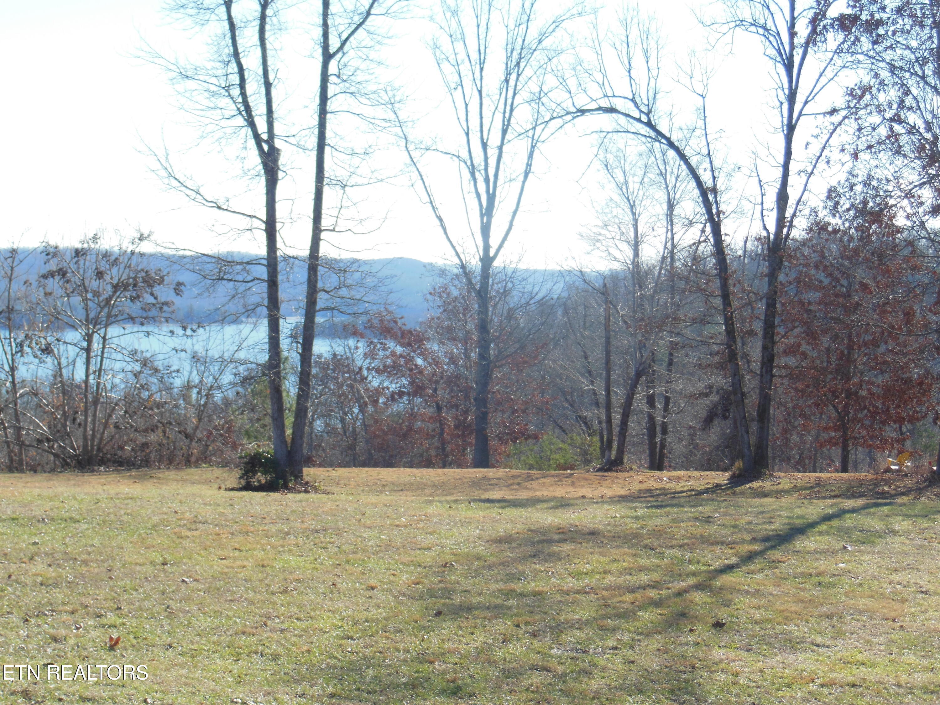 140 Quail Holw Cove Spring City, TN 37381 - Photo 13 of 15 DSCN9857