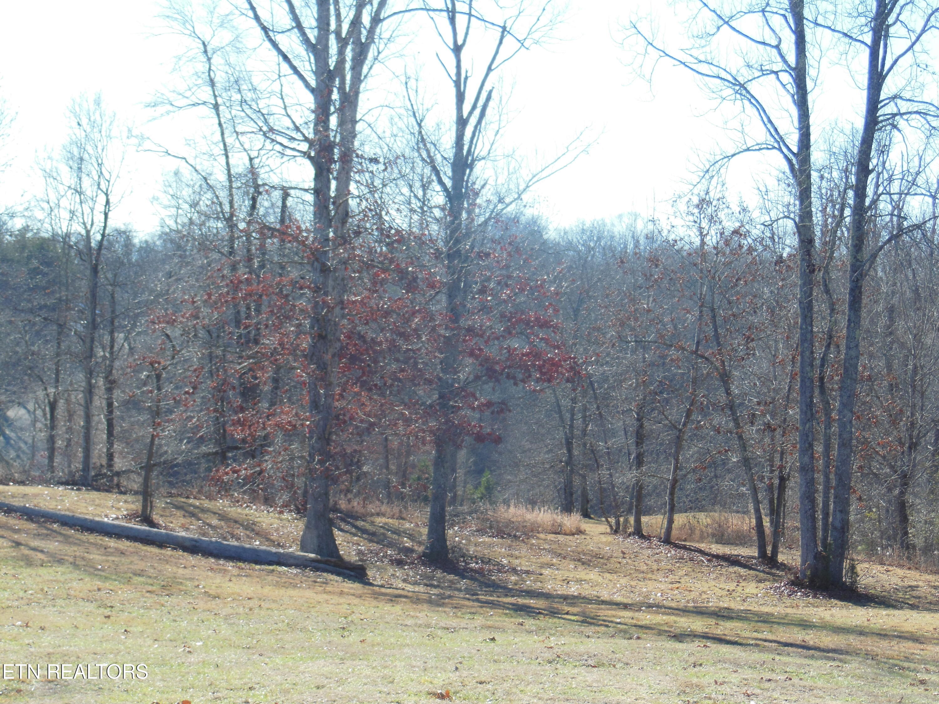 140 Quail Holw Cove Spring City, TN 37381 - Photo 14 of 15 DSCN9858